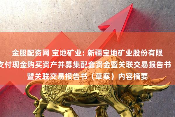 金股配资网 宝地矿业: 新疆宝地矿业股份有限公司发行股份及支付现金购买资产并募集配套资金暨关联交易报告书（草案）内容摘要
