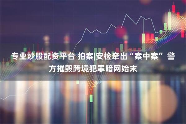 专业炒股配资平台 拍案|安检牵出“案中案” 警方摧毁跨境犯罪暗网始末