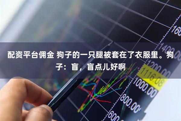 配资平台佣金 狗子的一只腿被套在了衣服里。狗子：盲，盲点儿好啊